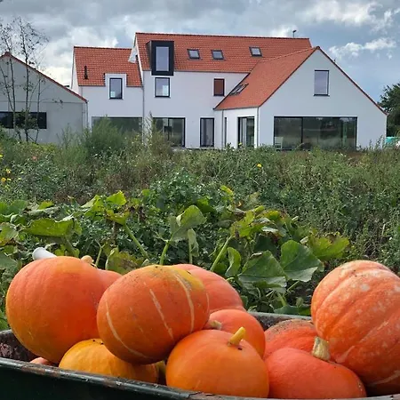 Dos22 Vakantiewoning I De Haan Wenduine * Zuienkerke