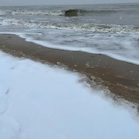 Dom wakacyjny Dos22 Vakantiewoning I De Haan Wenduine *