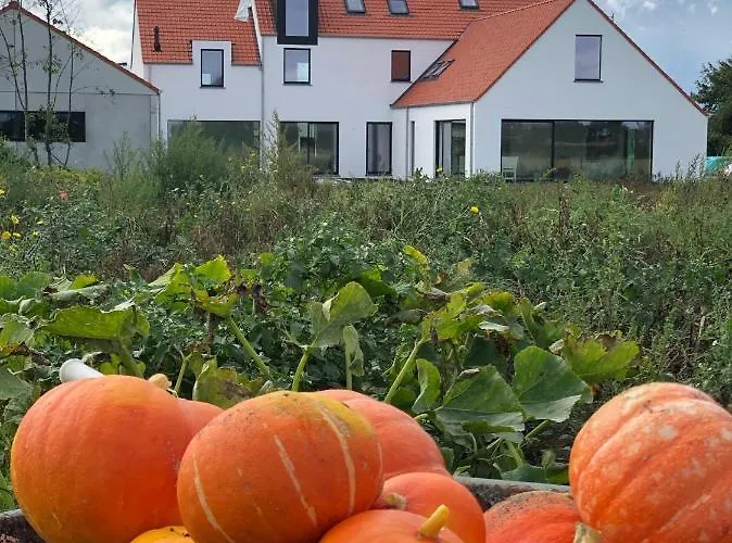 Dos22 Vakantiewoning I De Haan Wenduine * Zuienkerke